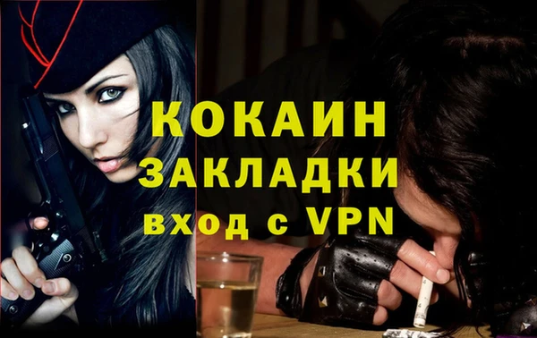 сатива Пролетарск