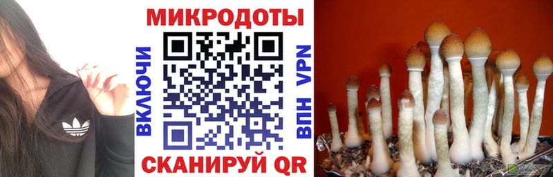 Галлюциногенные грибы MAGIC MUSHROOMS  Жуковка 